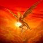 thumb_1641 (Medium).jpg